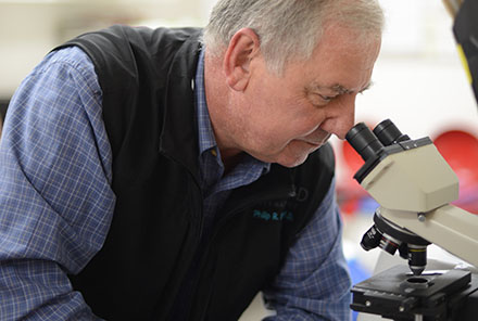 Image of Dr. Loria looking through a microscope